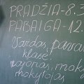 IMGP7075